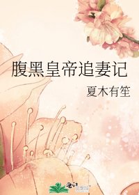 腹黑皇帝追妻記